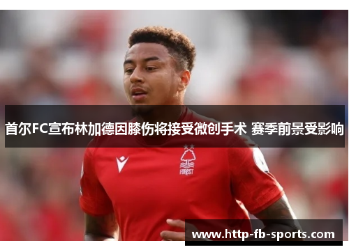 首尔FC宣布林加德因膝伤将接受微创手术 赛季前景受影响