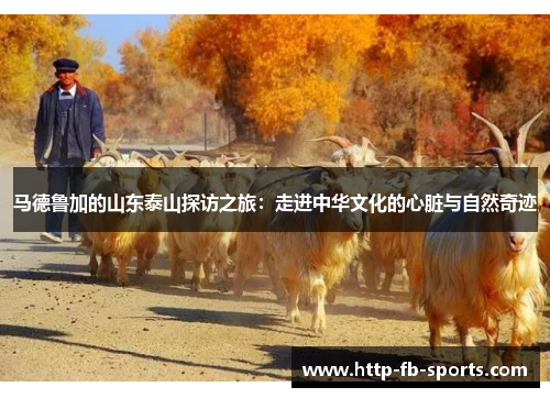 马德鲁加的山东泰山探访之旅:走进中华文化的心脏与自然奇迹 马德鲁加的山东泰山探访之旅:走进中华文化的心脏与自然奇迹